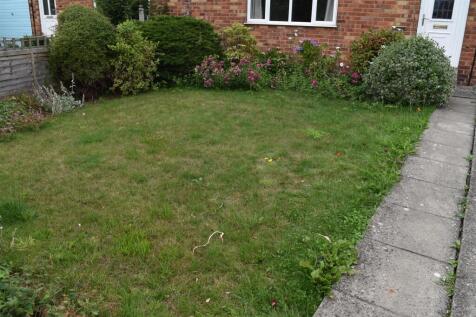 DSC_1297.JPG
