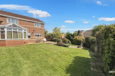 Property Image 43