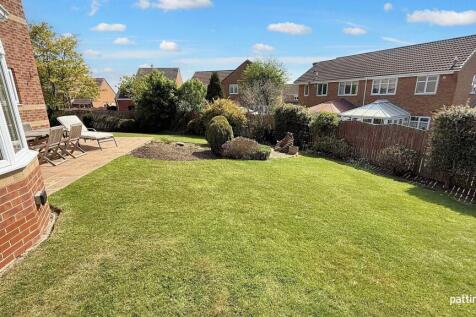 Property Image 44