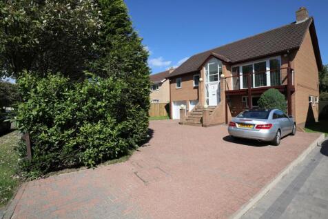 Property Image 23