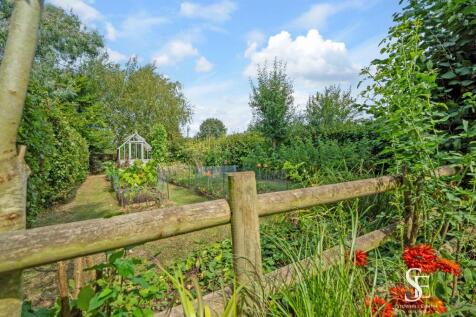Vegetable Garden