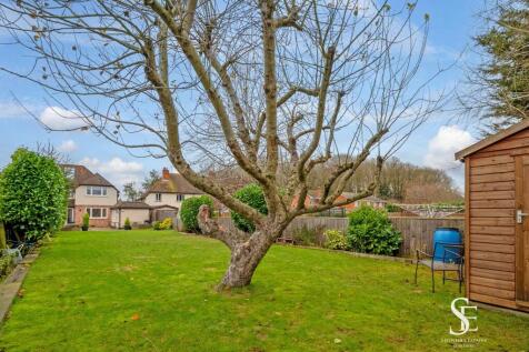 Garden with apple tree