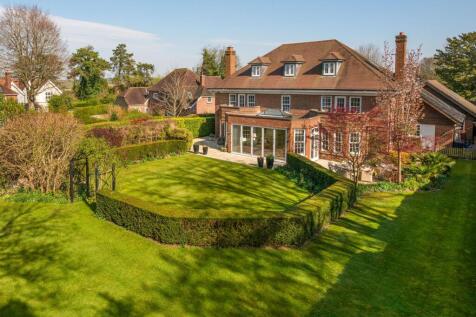 Back Garden