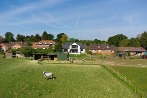 The Paddocks