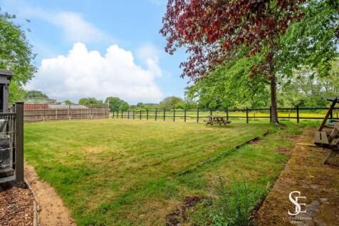 Lawn Area