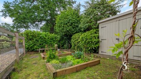 Front garden vegetable patch