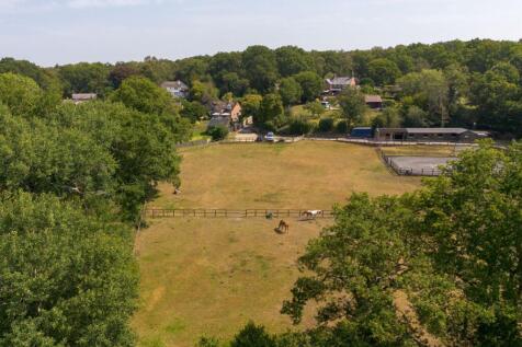 The Paddocks
