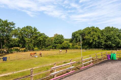 The Paddocks