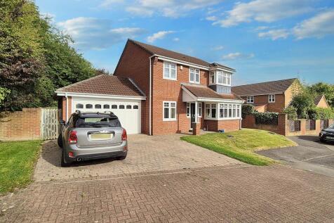 Property Image 28