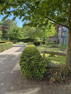 Property Image 20