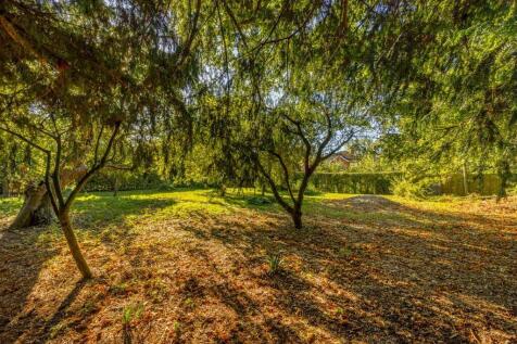 Property Image 36