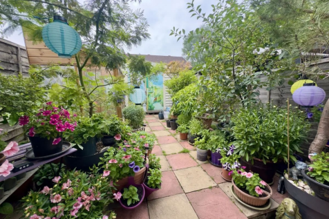 Property Image 11