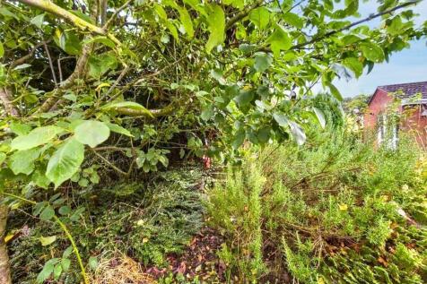 Property Image 63