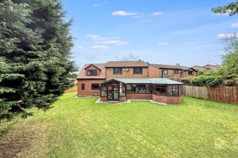 Property Image 46