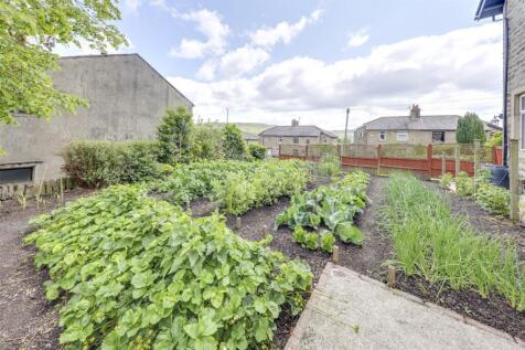 Side Garden