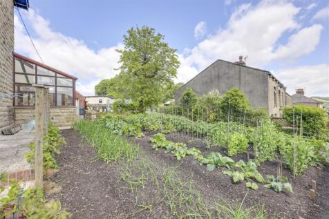 Side Garden