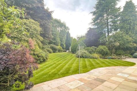 Garden in Summer