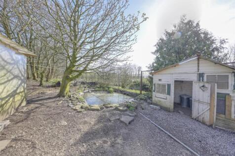 Chicken Coop &amp; Pond