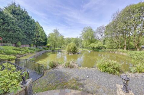 Pond &amp; Views