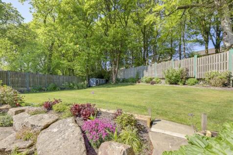 Rear Garden Alt 2