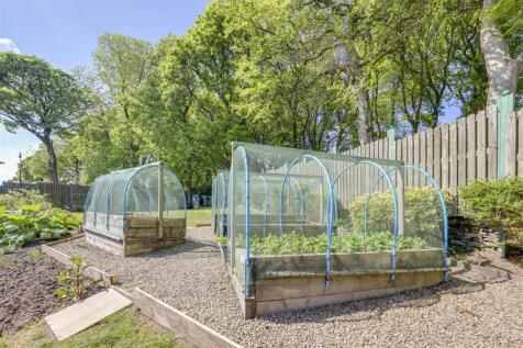 Veggie Area