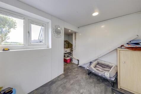 Dog Salon Room