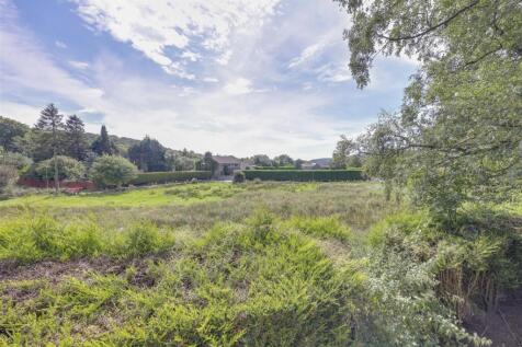 View from Garden