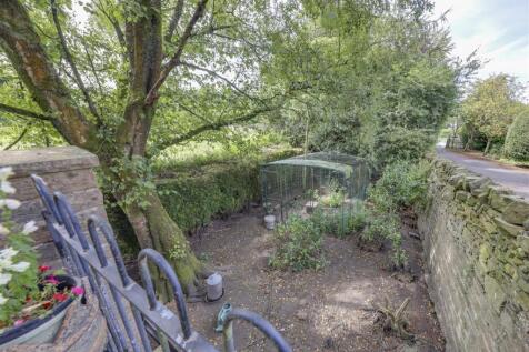 Chicken Coop Area