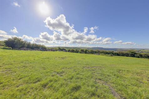 Front Paddock