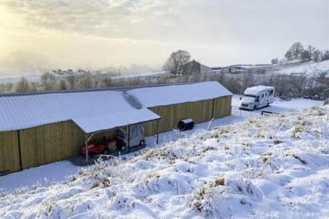 Winter Setting