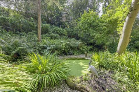 Feature Pond