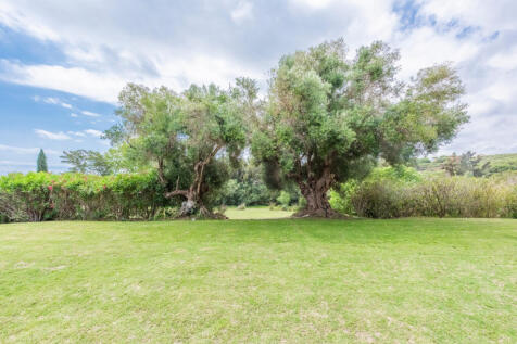 Property Image 56