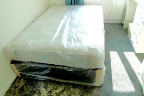 209_11.jpg