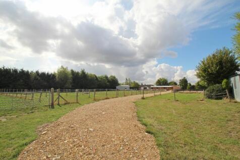 Grounds