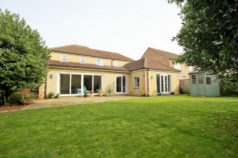 rear external