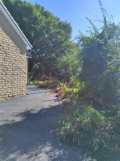 garden.jpg