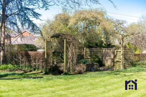 Serene garden