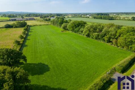 Equestrian opportunity
