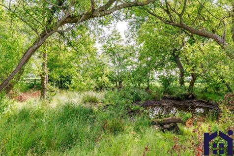 Woodland