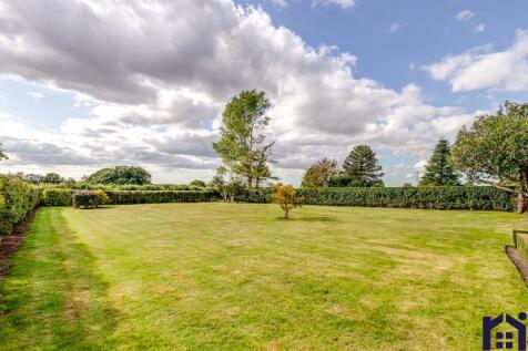 The grounds
