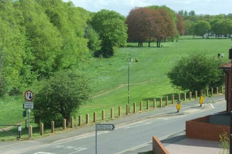 Ripley Green.jpg