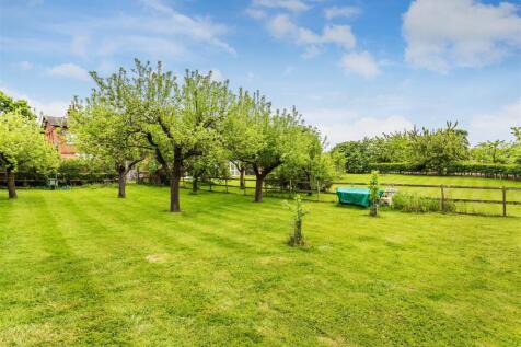 orchard.jpg