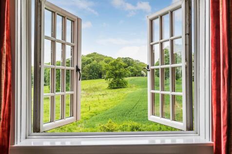 view from living room.jpg