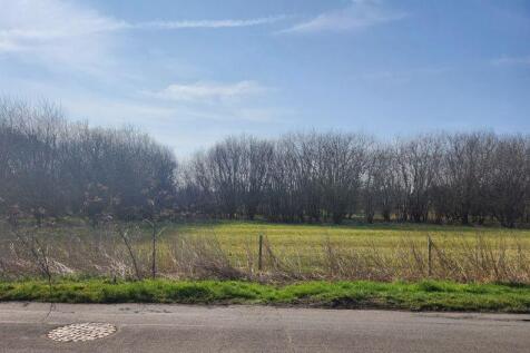 Field
