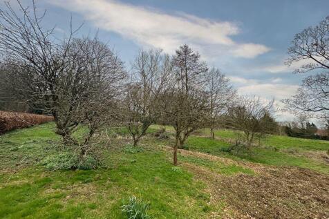 Site Photo