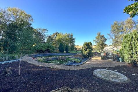 Site Photo