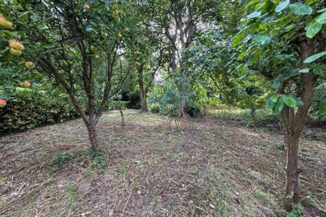Site Photo