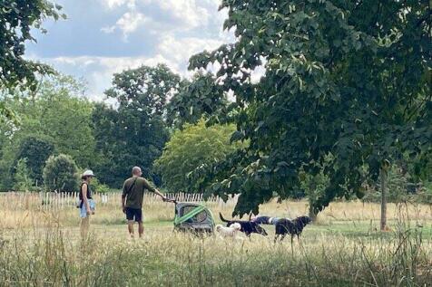 Hyde Park