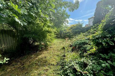 BACK GARDEN  3.jpg