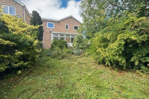 BACK GARDEN.jpg